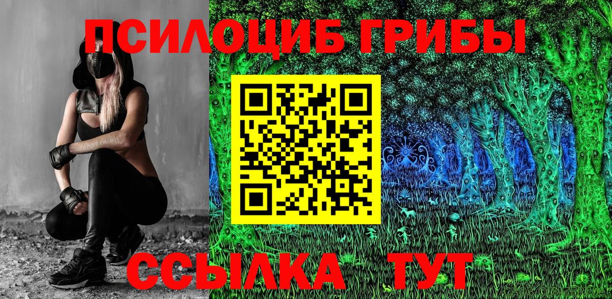Брянск  Галлюциногенные грибы мицелий  Вход с VPN  Галлюциногенные грибы Psilocybine cubensis 