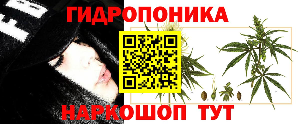 Брянск  Конопля сатива  Марихуана MAZAR  Вход с VPN  Марихуана гибрид 